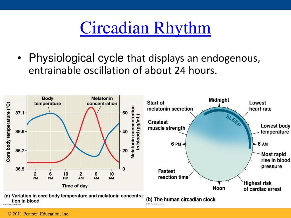 Socially synchronized circadian oscillators forex fox dirt bike vest